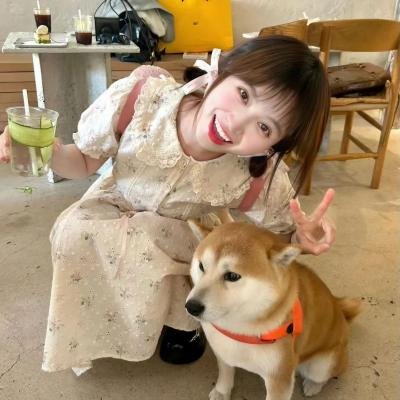 选情告急